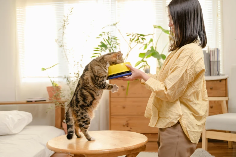 a woman is feeding a cat with a bowl