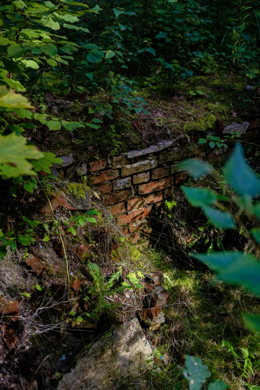 a po of an abandoned red brick building surrounded by vegetation