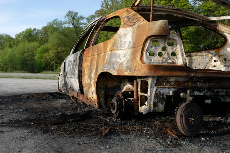 the rusted out cars in a dirty area are covered in a layer of thick tree nches