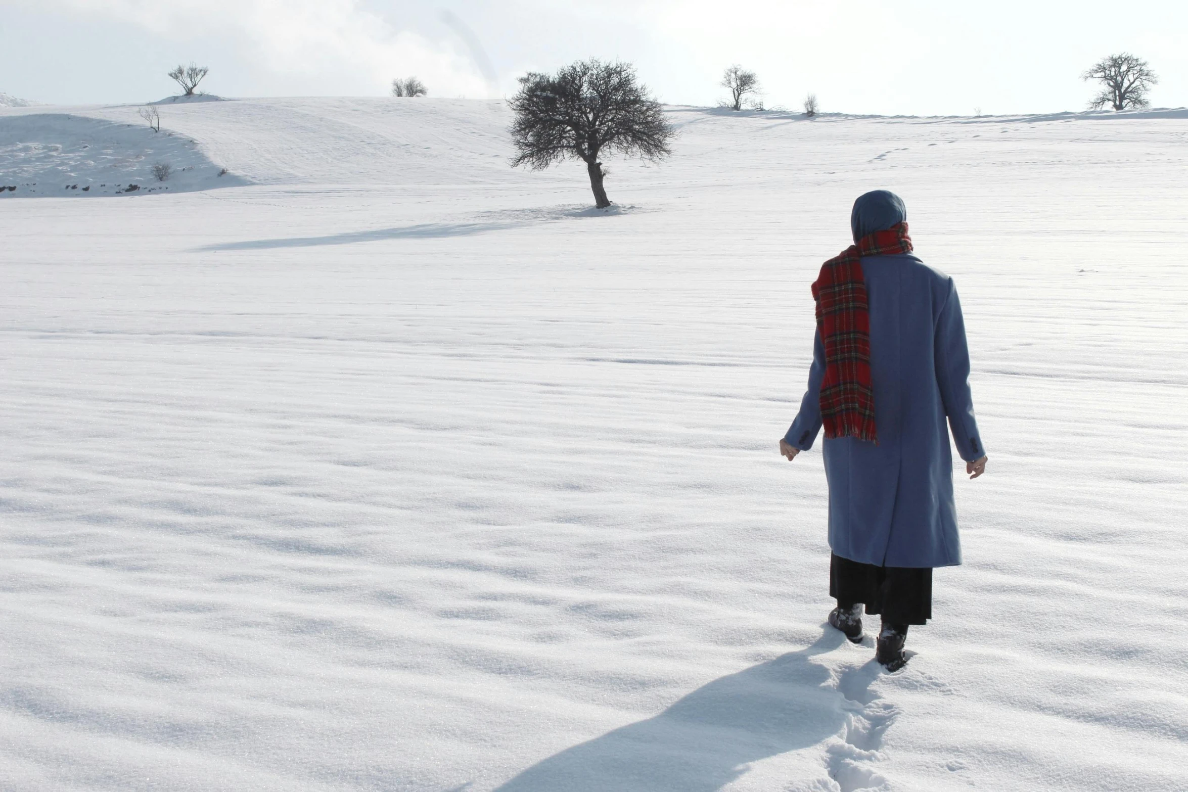 a person walking across a snow covered field with a tree in the background