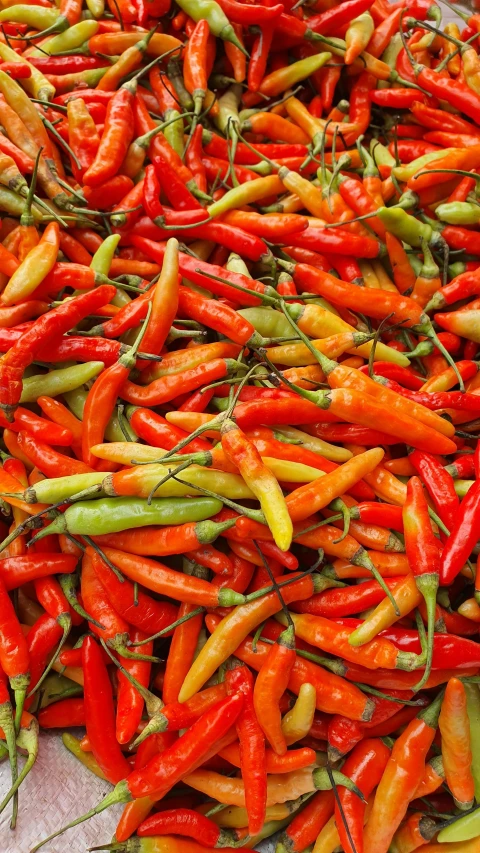 many different colored peppers are gathered together