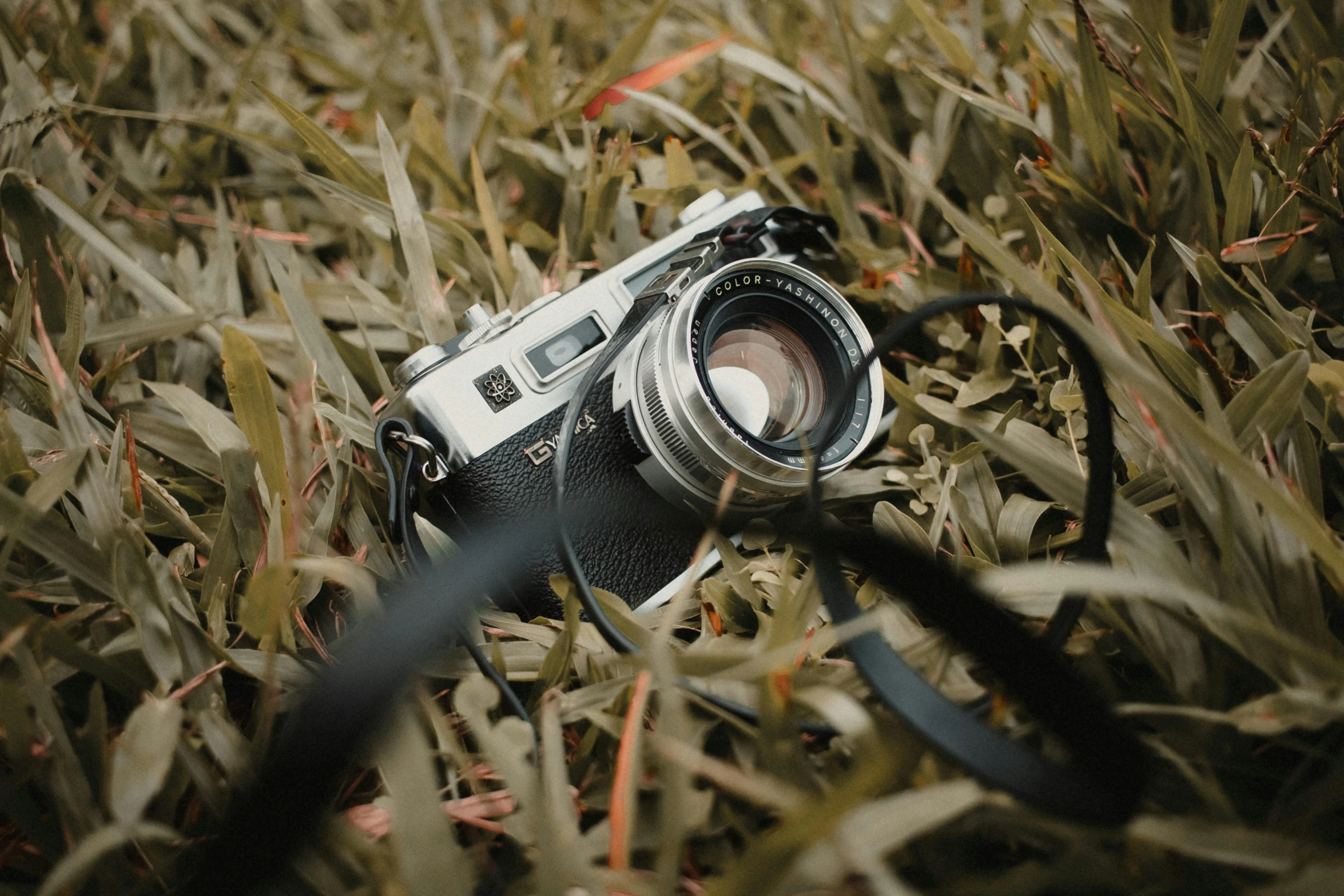 a camera and its flash lens sitting in the middle of tall grass