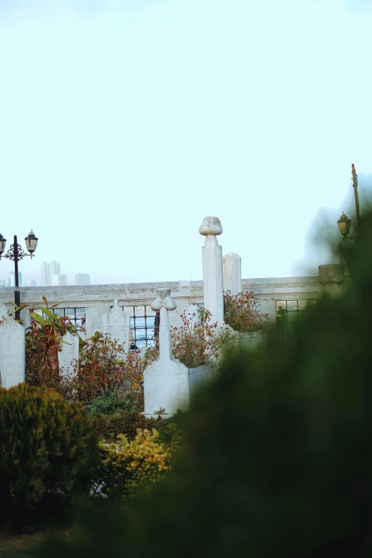 a white house has ivy growing on it