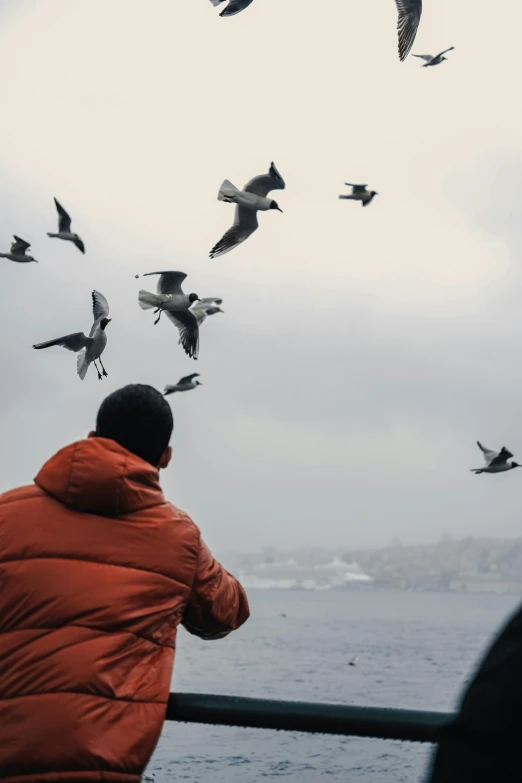 a flock of birds flying over the ocean