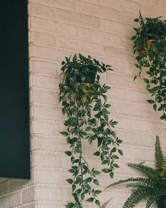 there are two potted plants next to the brick wall