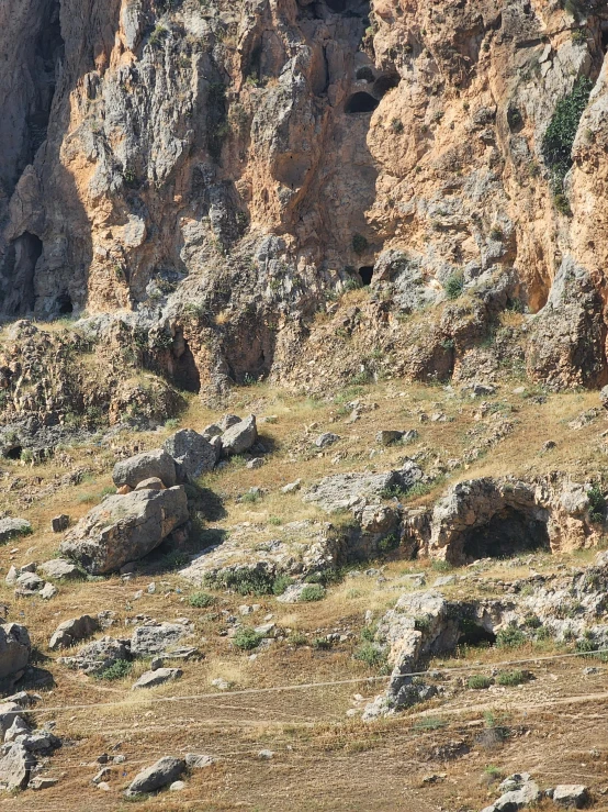 rocks and a lone animal near a big cliff