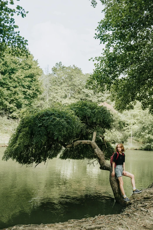 a person is sitting on a tree in front of the water