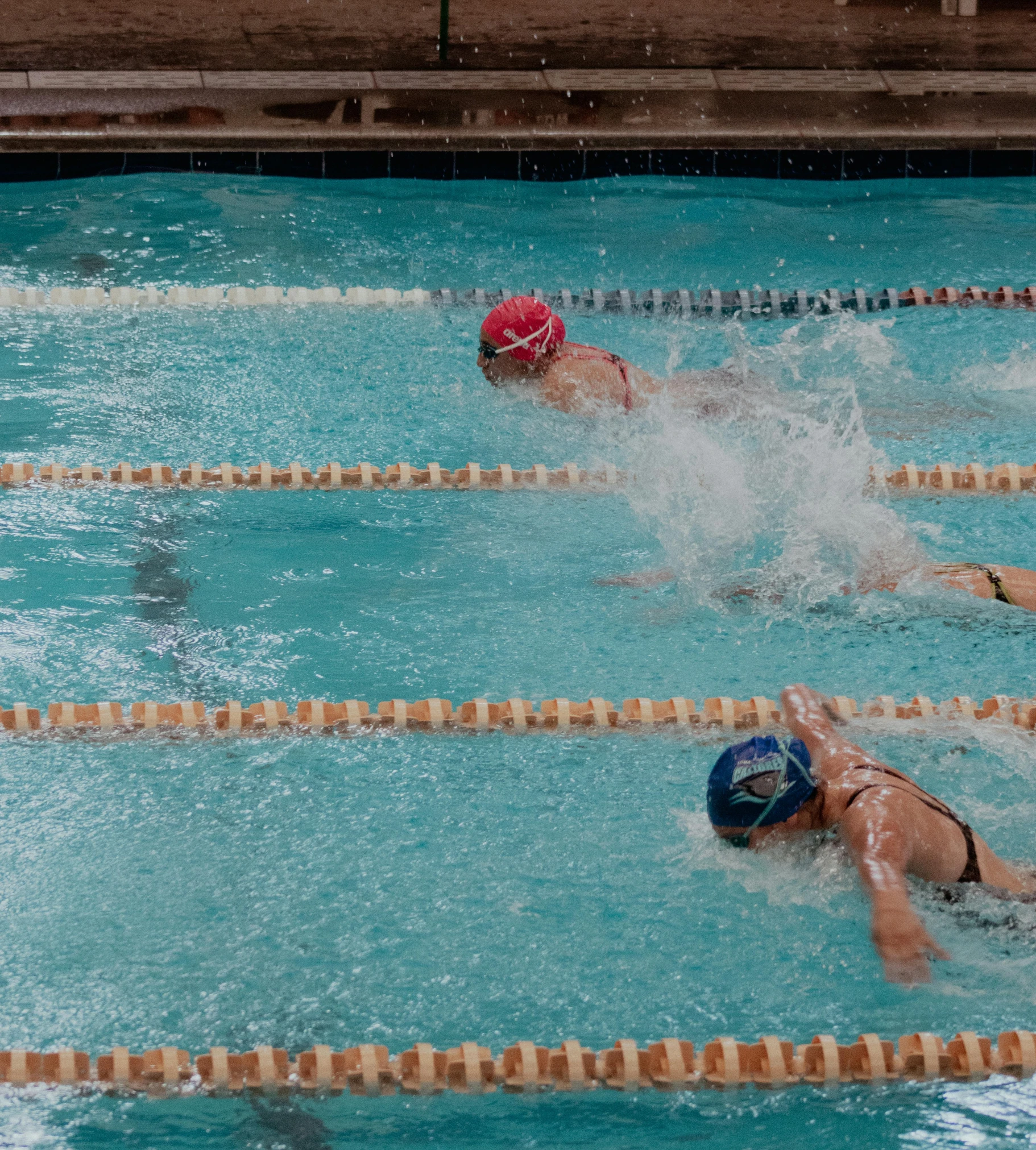 swimmers swim through the water at a swimming pool