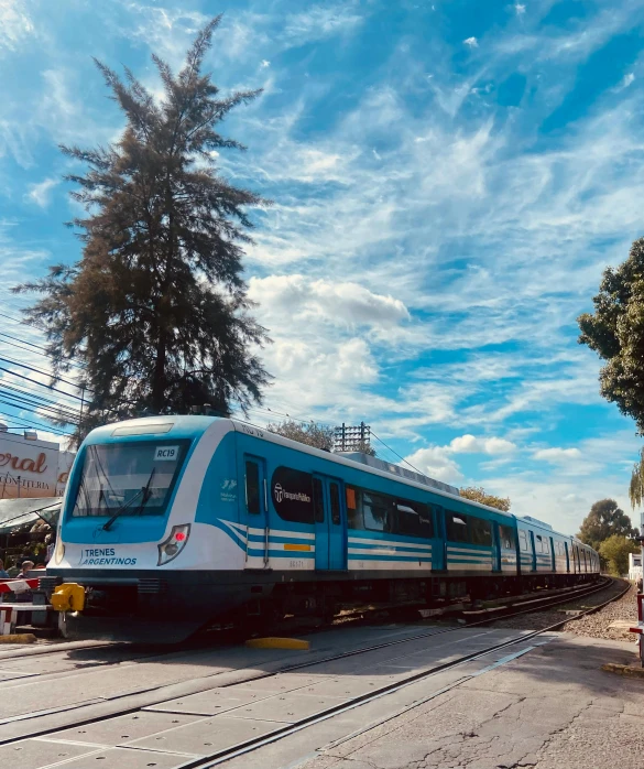 a train on tracks next to a tall green tree