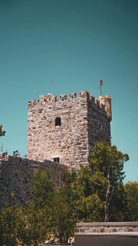 a castle with two flags on it and some trees