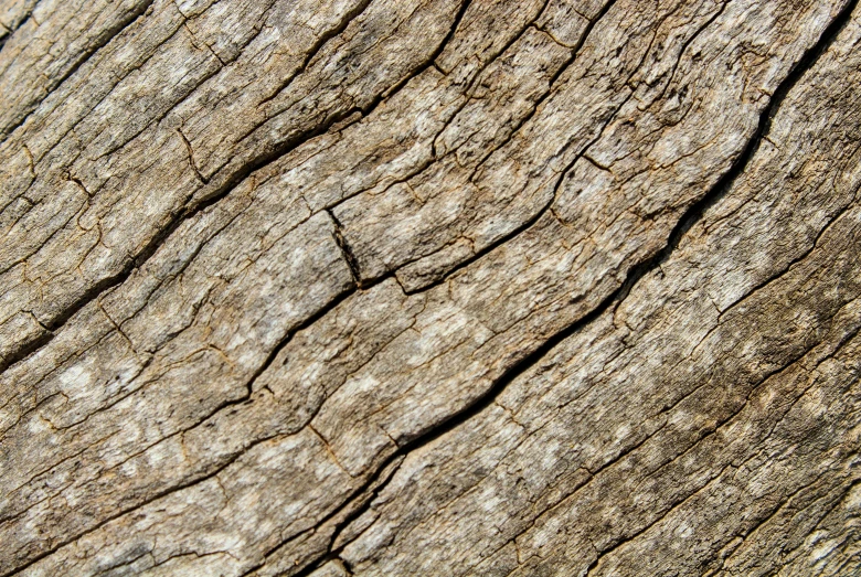 a close up of wood texture with natural patterns