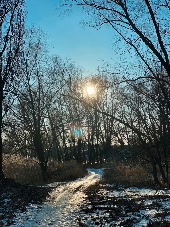 an icy road with the sun shining in the background