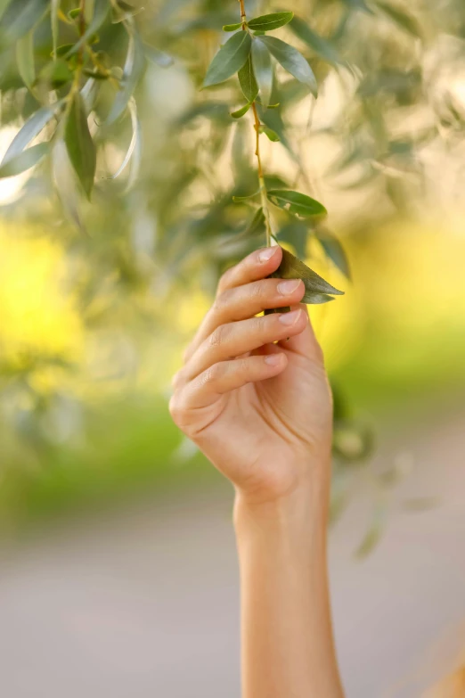 a woman holding up green leaves on a tree