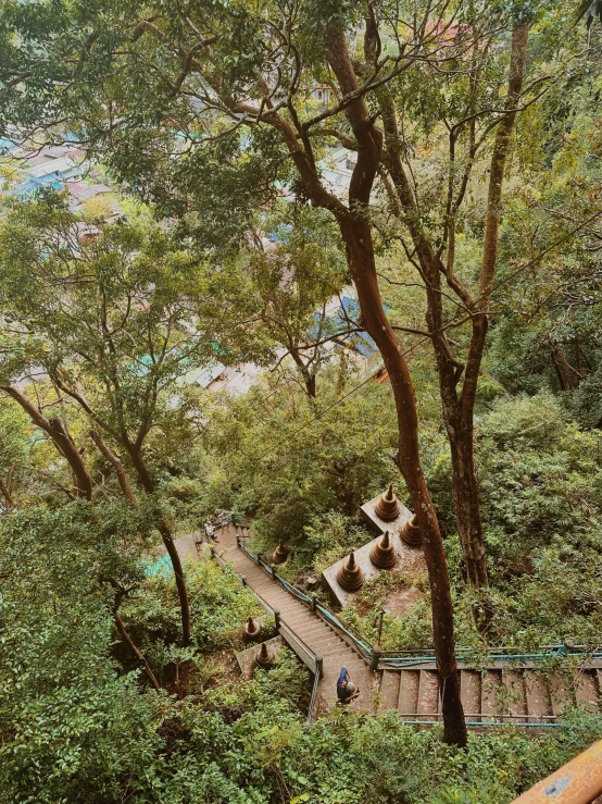 the view of a wooden stairway in the woods