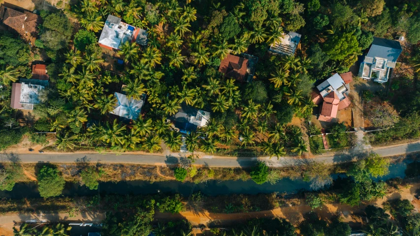 the aerial view of a tree covered neighborhood