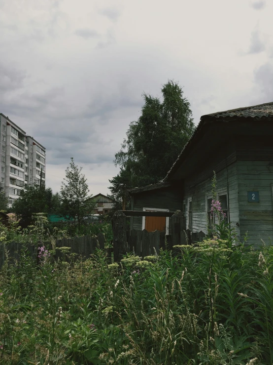 an abandoned house surrounded by tall green bushes