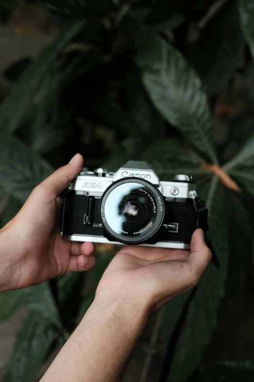 a person holding a camera to take a po