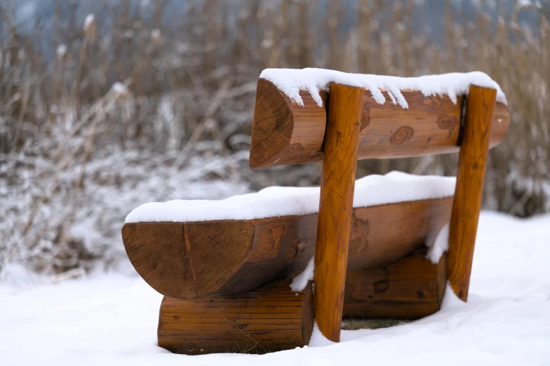 two park benches are covered in snow near some brush