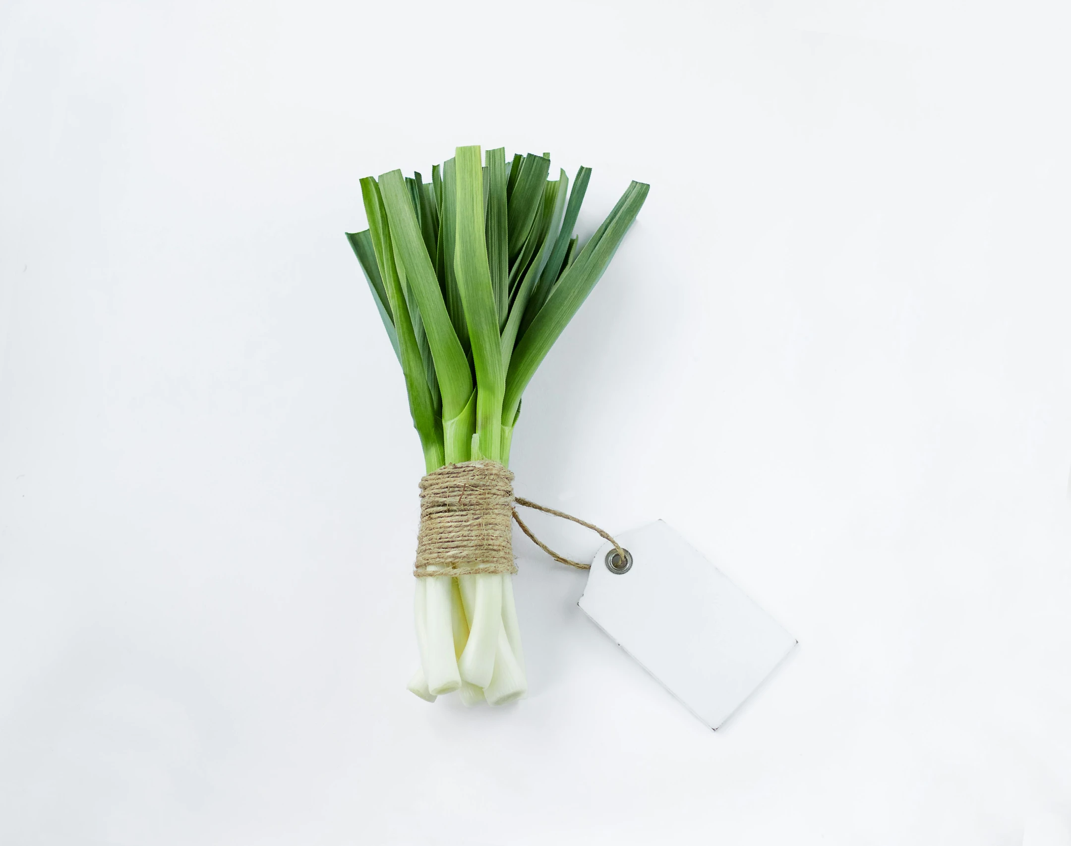 some green onions tied up and with a tag