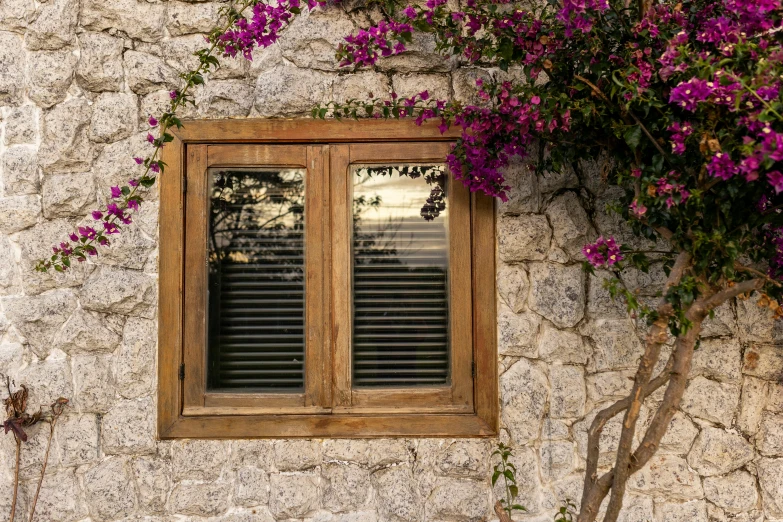 a wooden window with flowers growing in front of it