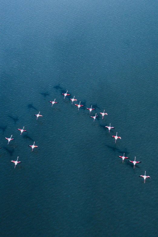 several airplanes flying in formation while viewed from above