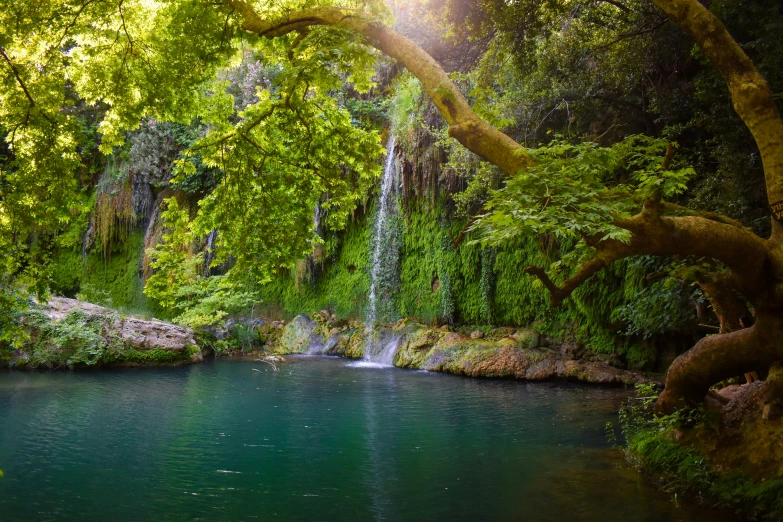 a pool of water with waterfall on both sides surrounded by trees