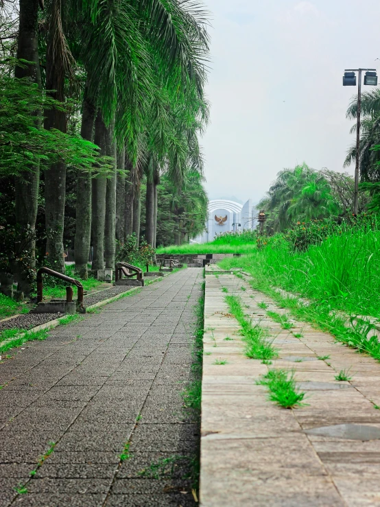 a walkway lined with stone slabs that goes down a path to the street