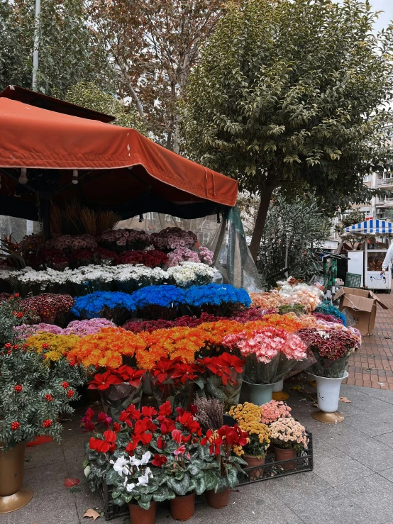 a tent selling flowers at the farmer's market