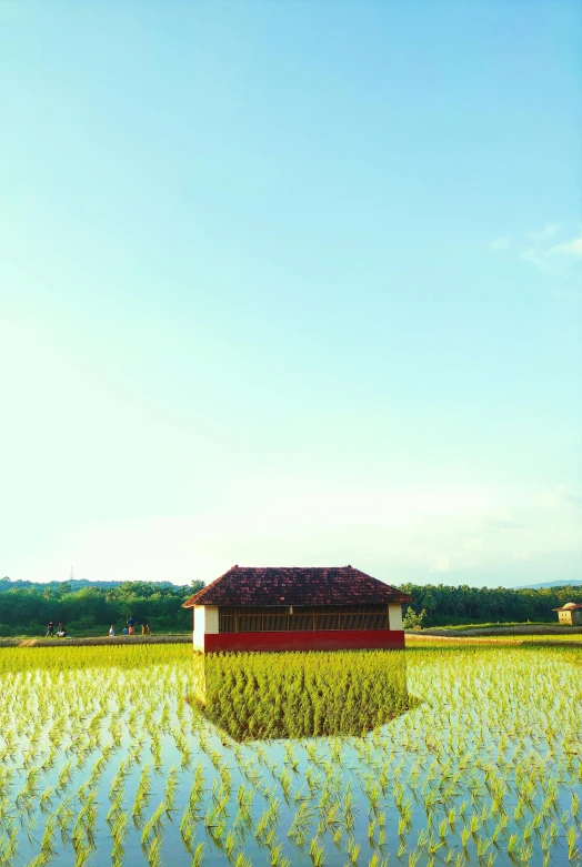 an empty pond in a field with a house in it