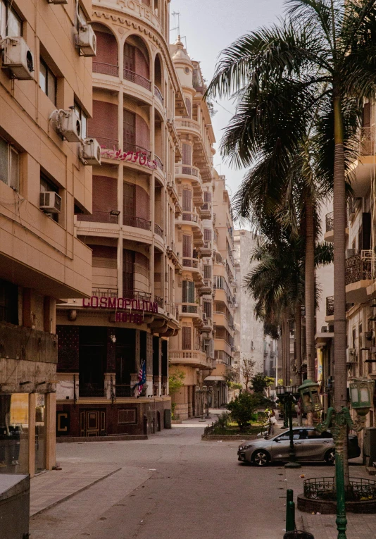 a empty street in an oriental city with palm trees