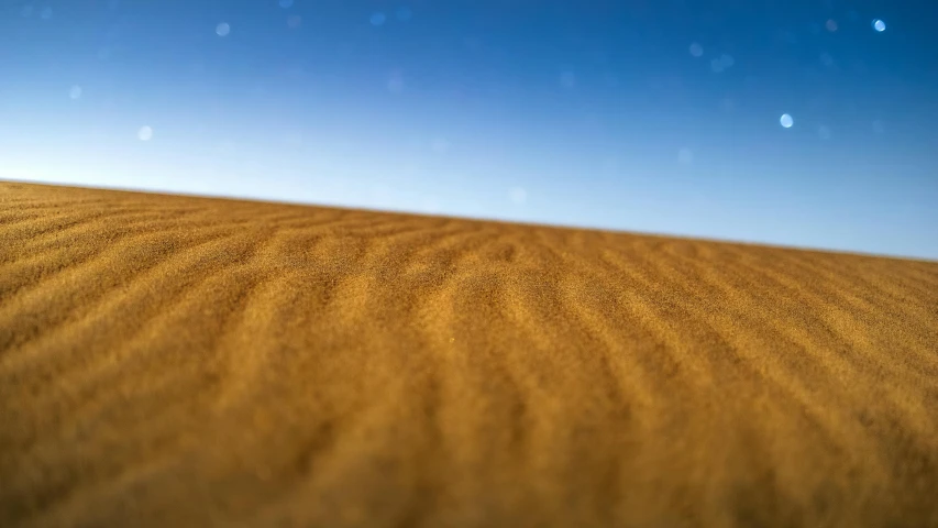 a plethora of yellow dunes of varying sizes and shapes in the desert