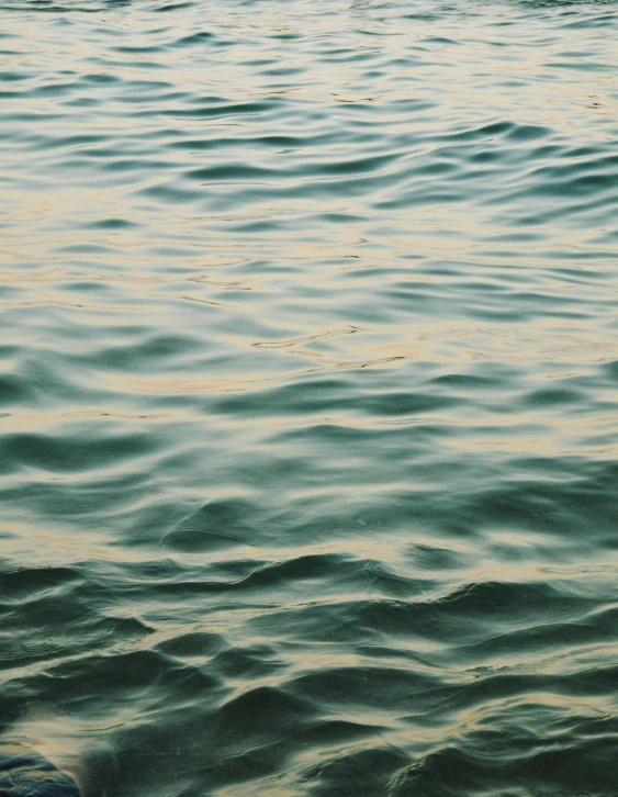 the sailboat floats along on top of the large waves