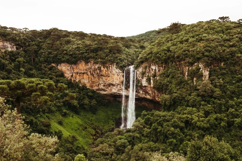 a large waterfall cascades into a lush green jungle