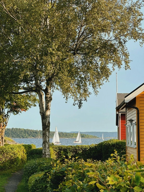 a scenic view of boats sailing by on a body of water