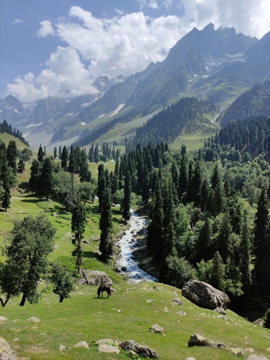 a beautiful mountain valley covered in a lush green forest