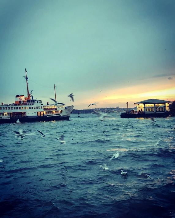 two ferries at sea with birds flying in the air