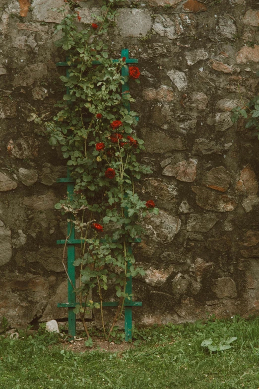 an old green chair with flowers growing on it