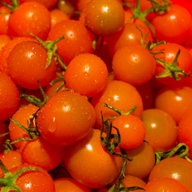 this is a pile of red tomatoes on the vine