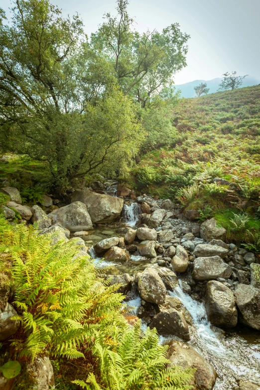 the water is running down the mountain stream