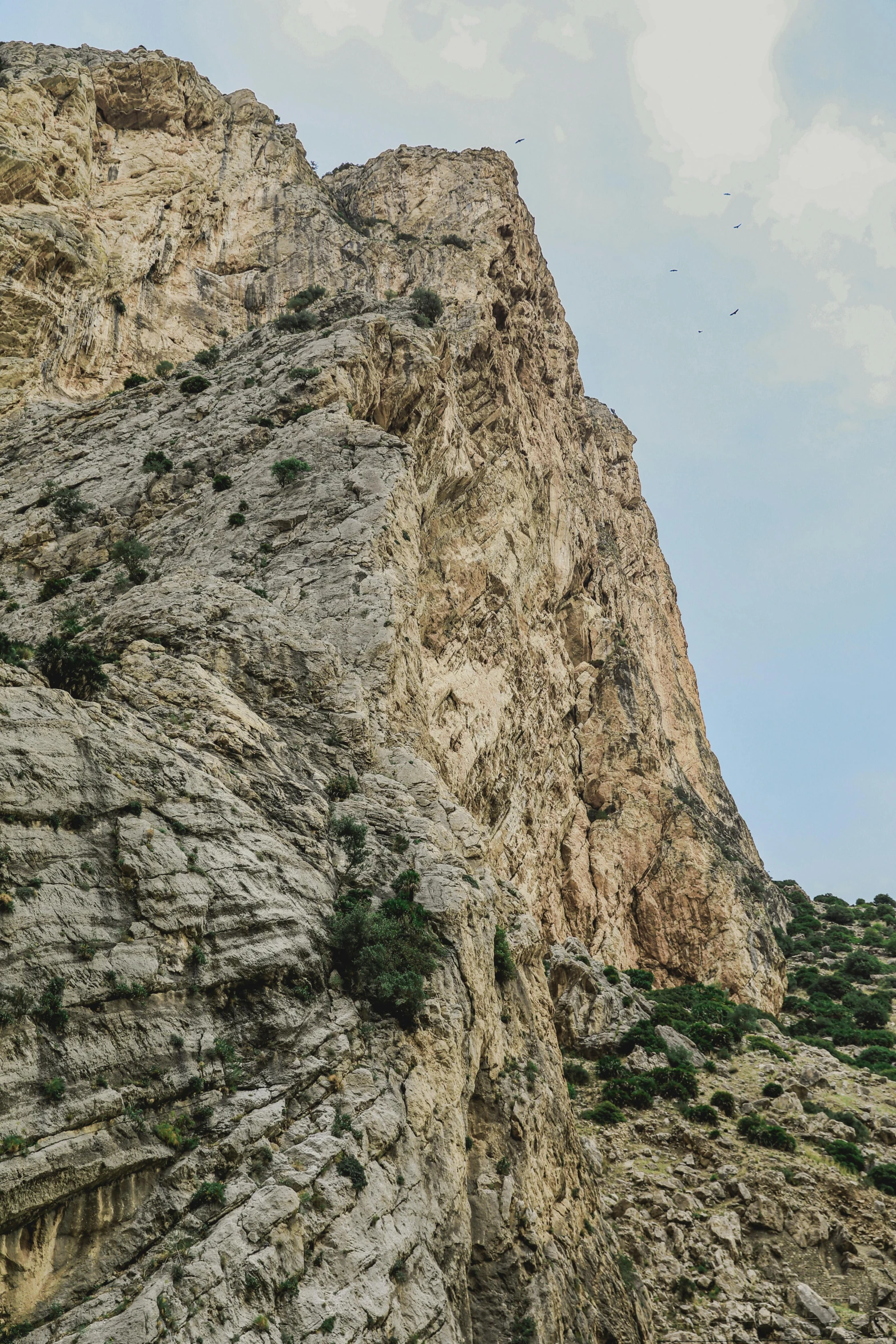 view up the side of a mountain looking at a blue sky