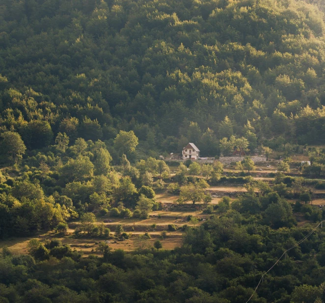 a wooded area with a barn nestled on a hill