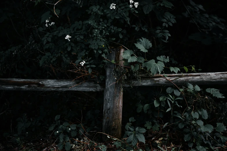 a fence that has some flowers on it