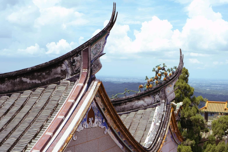 an old roof that has some trees growing on it