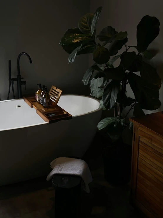 this bathroom has a tub, plant and a tray for towels