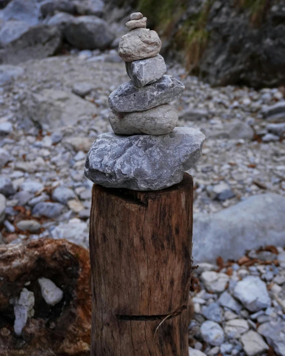 some rocks on a stump at the beach