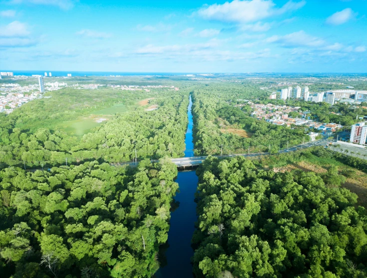 a wide river is surrounded by tall buildings and green trees