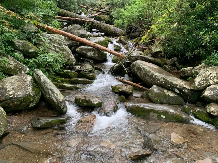 water flowing through a small stream on some rocks