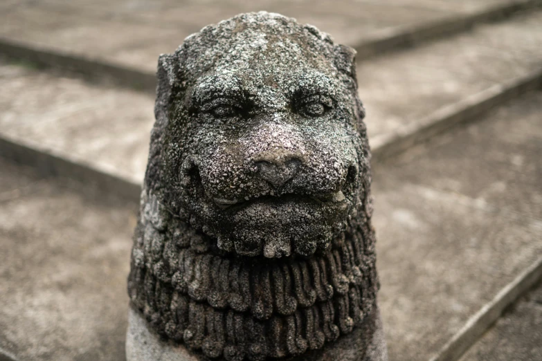 a gray stone lion statue sitting next to cement steps