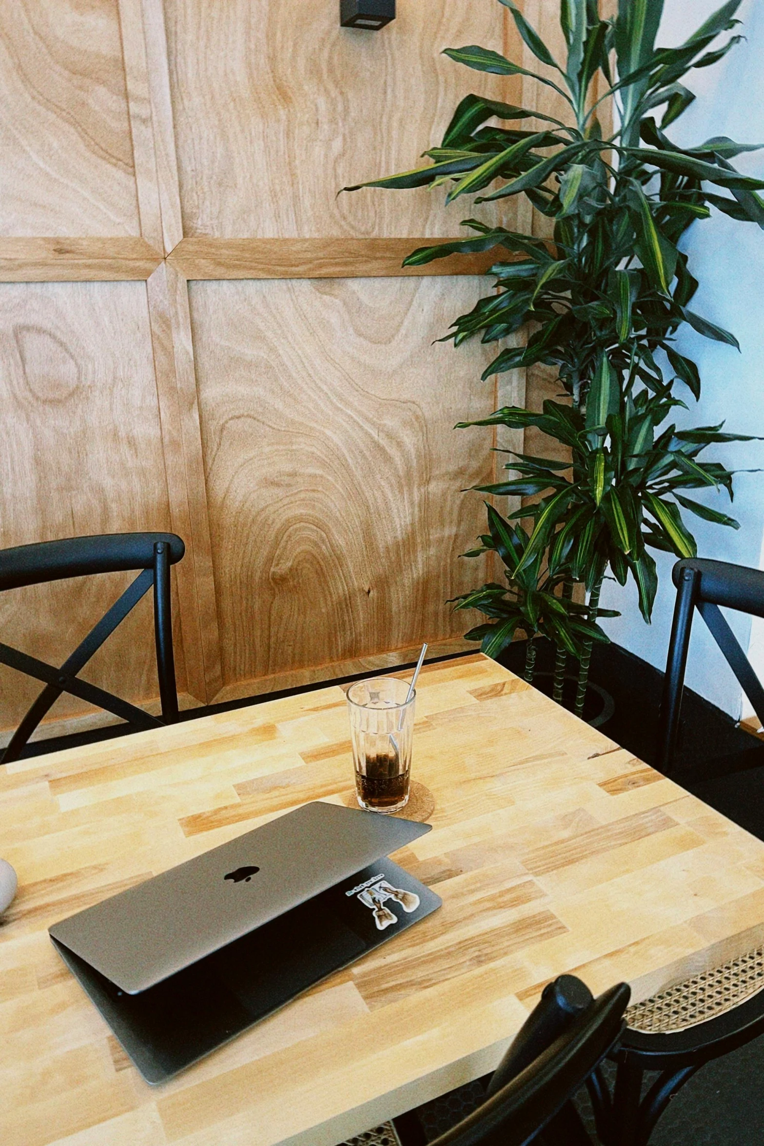 a table with an apple laptop next to a plant