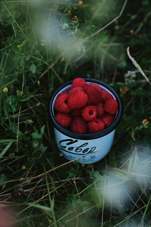 a small bowl with raspberries in it sitting on the ground